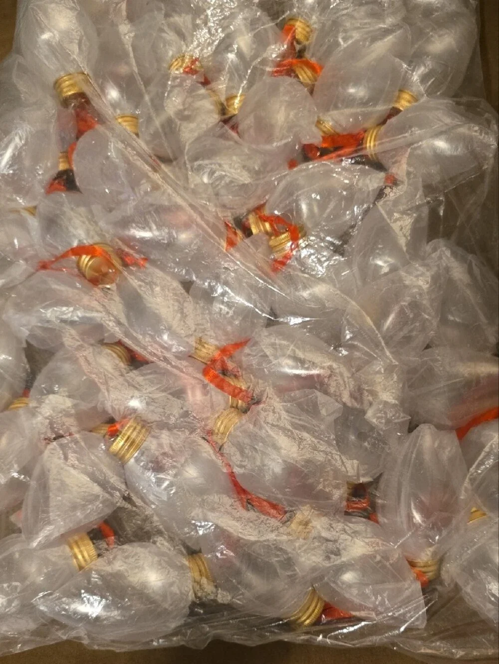 Clear Bulb Ornament Set with Gold Caps and Red Ribbons. 48 Pieces. NWT.